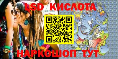 сатива Камышлов