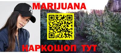 сатива Камышлов