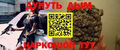 сатива Камышлов