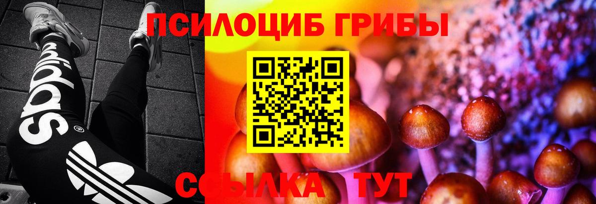 продажа наркотиков  Галлюциногенные грибы мухоморы  Вход с VPN  Псилоцибиновые грибы Psilocybe  Краснокаменск 